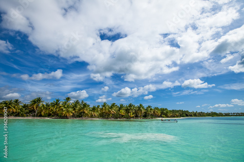 Fototapeta Naklejka Na Ścianę i Meble -  
Sea Caribbean landscape in Dominican republic with palm trees, sandy beach, green mountains, rocks, blue sky and turquoise water 