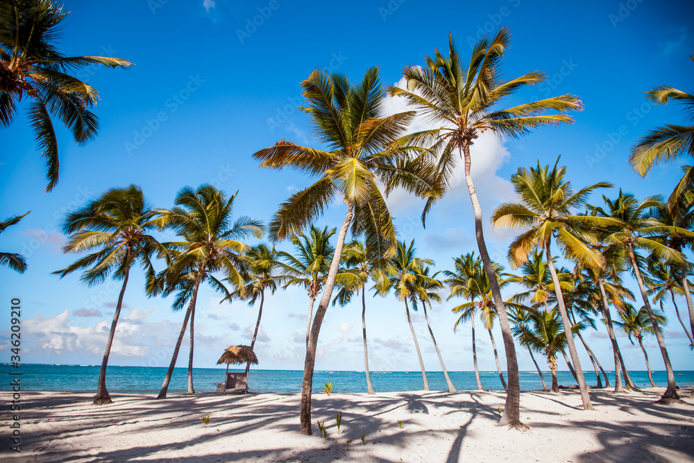 
Sea Caribbean landscape in Dominican republic with palm trees, sandy beach, green mountains, rocks, blue sky and turquoise water 