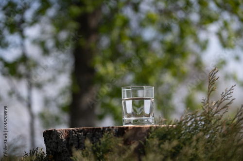 Glass of pure fresh water on the old tree stump. Green nature background.