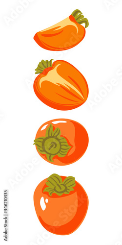 Vector set of persimmon: whole and slices. Isolated on white background, bright colors without contour. Natural and healthy product, diet, exotic fruit, cooking, farmers market Illustration.