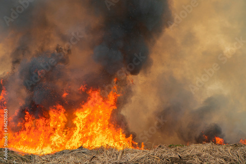 Raging flame of fire burn in grass fields, forests and black and white smoke to sky. Big wildfire close-up. pollution in air from wildfire concept. Smoke pattern concept for background pattern.