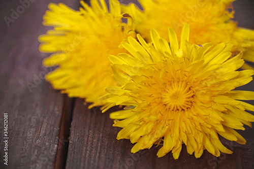 Yellow dandelions lie on a dark wooden background. Copy space for text.