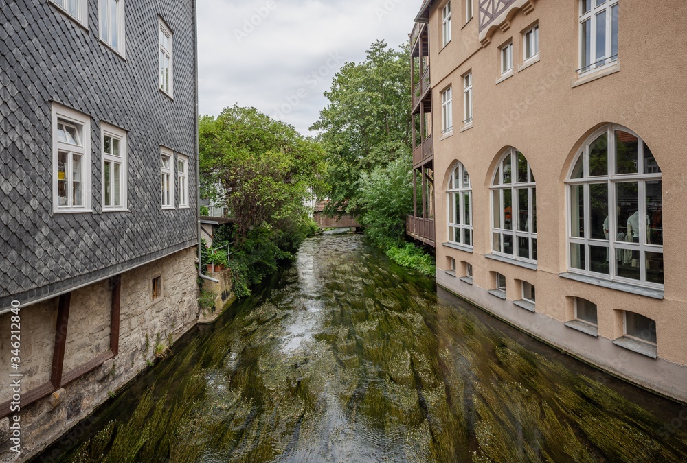 Fototapeta premium greek with sea grass in the city of Erfurt,