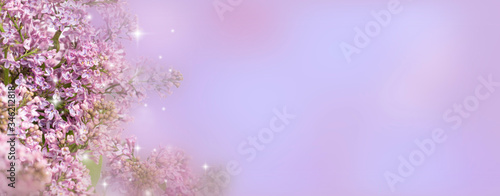  lilac background with lilac flowers