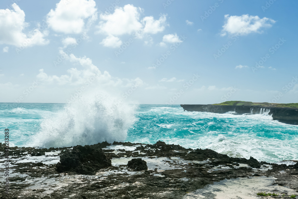 Sea Caribbean landscape in Dominican republic with palm trees, sandy beach, green mountains, rocks, blue sky and turquoise water
Sea Caribbean landscape in Dominican republic with palm trees, sandy beach, green mountains, rocks, blue sky and turquoise water