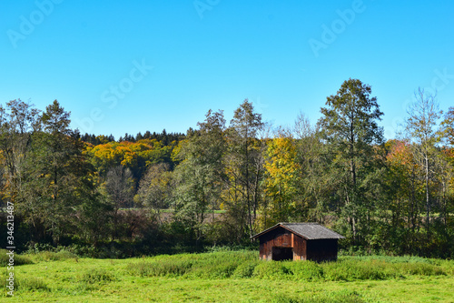 Alpine wooden hut on a green grass field in autumn with colorful forest behind, near Bad Toelz, Munich, germany