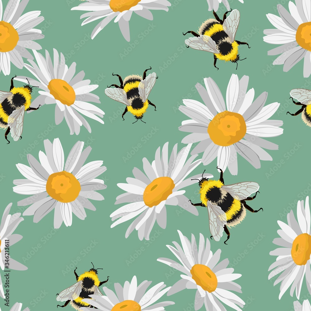 Seamless pattern of Daisy (chamomile), cornflowers with ladybird, bee on vintage green background. 