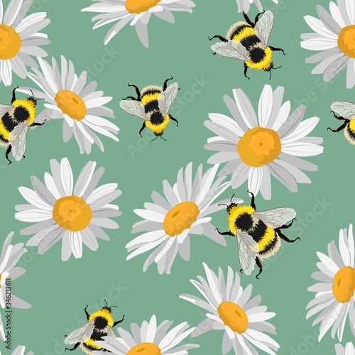 Seamless pattern of Daisy (chamomile), cornflowers with ladybird, bee on vintage green background.  © Виктор Фесюк