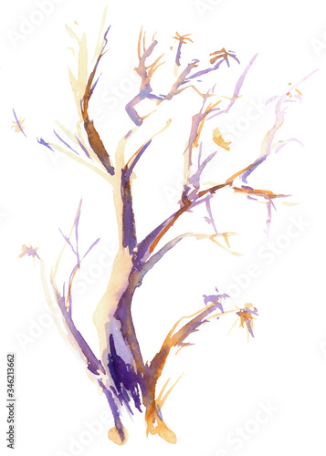 Bright branch. Violet-orange, sunset lighting, colored tree. Hand drawn sketch. Watercolor illustration © Olha