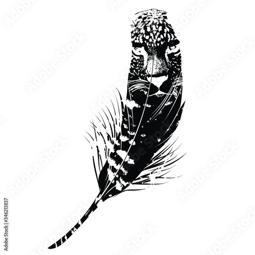 Vector illustration of a black feather with a leopard inside it isolated on white