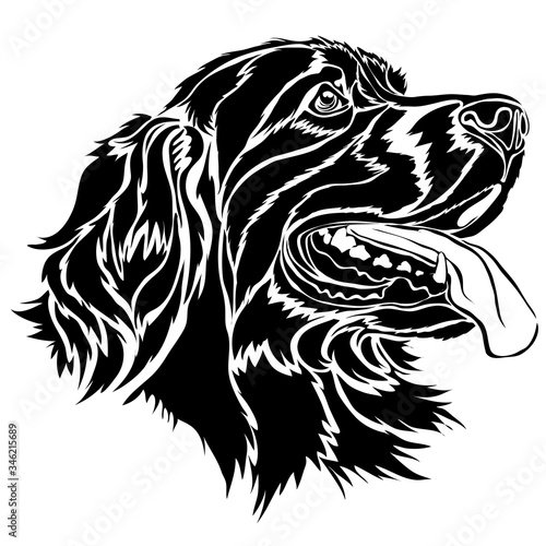 stylized setter head in black, logo, isolated object on a white background, vector illustration,