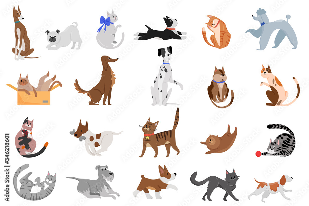 Cute funny cartoon domestic pets characters flat vector illustration. Different breed of cats and dogs walking, playing and posing.