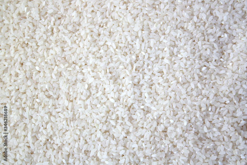 Grains of white round rice. Abstract background, texture of uncooked rice. Close-up. Grains of white round rice. Abstract background, texture of uncooked rice. Close-up.