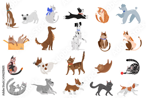 Cute funny cartoon domestic pets characters flat vector illustration. Different breed of cats and dogs walking, playing and posing.