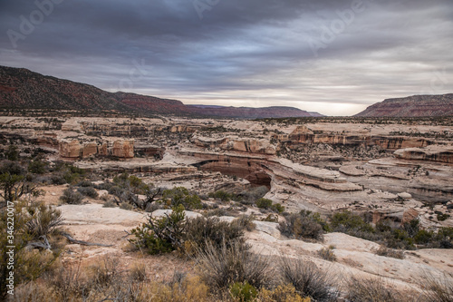 Natural Bridges National Monument 
