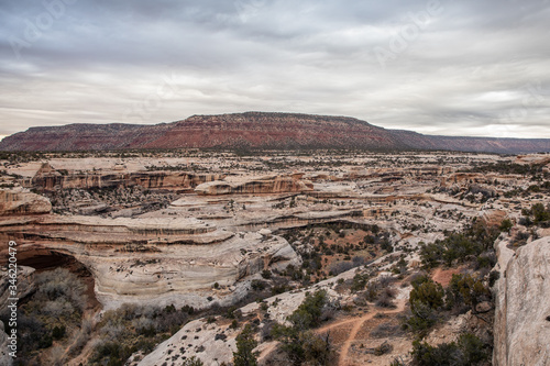 Natural Bridges National Monument 
