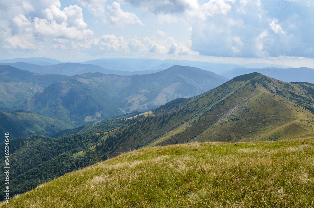 View of the Carpathian Mountains landscape in cloudy summer day. Mountain peaks, forests, fields and meadows, beautiful natural landscape.