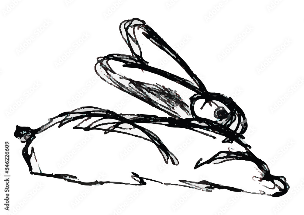 Obraz premium A zombie bunny hop. Figure. Sketch.
