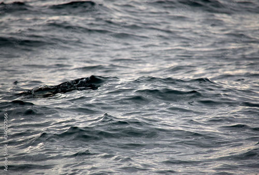 Fototapeta premium Sea waves close up view
