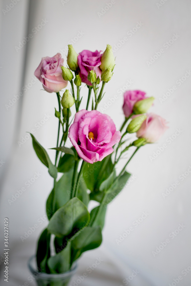 Obraz premium bouquet of pink lisianthus