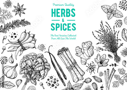 Herbs and spices hand drawn vector illustration. Aromatic plants. Hand drawn food sketch. Great for package. Vintage illustration. Card design. Sketch style. Spice and herbs black and white design.