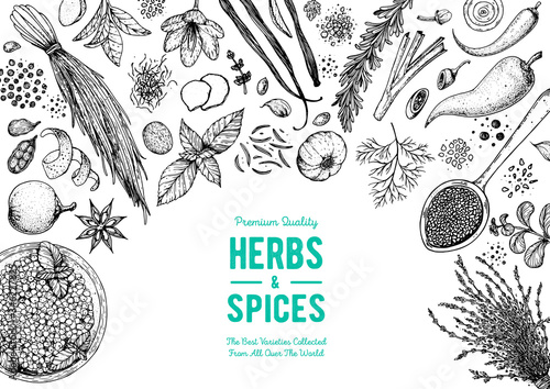 Herbs and spices hand drawn vector illustration. Aromatic plants. Hand drawn food sketch. Vintage illustration. Card design. Sketch style. Spice and herbs black and white design.