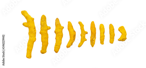 Dry turmeric roots isolated on white background.