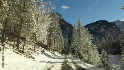 The narrow road snow-covered leading through the winter forest to the Pederu mountain refuge. Pine trees stand tall and straight. It is a bright sunny day with blue skies. photo