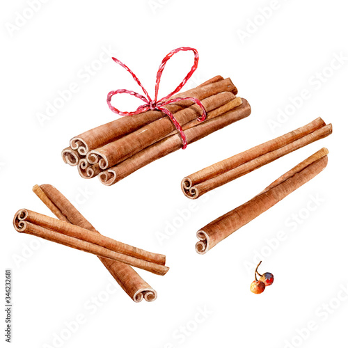 vector Set of watercolor cinnamon sticks and tea spices anise, cloves, cardamom on white background.