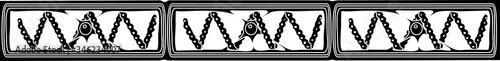 Silhouette of spirogyra (charophyte green algae)