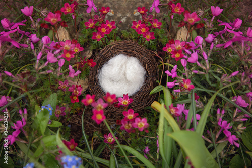 Floral digital backdrop for newborn photography composites