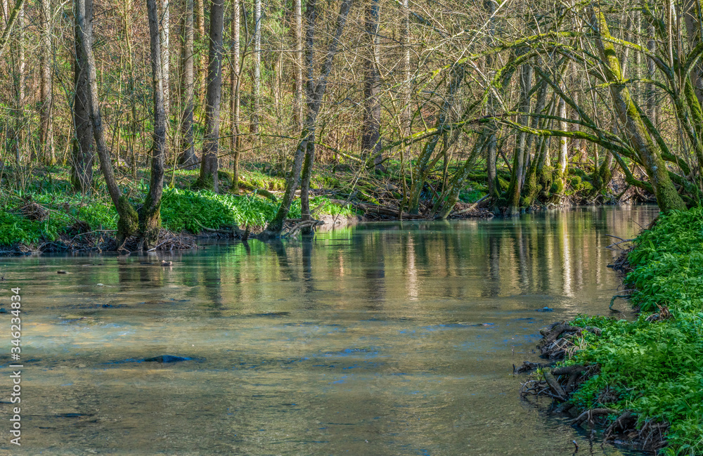 Obraz premium small river at spring time