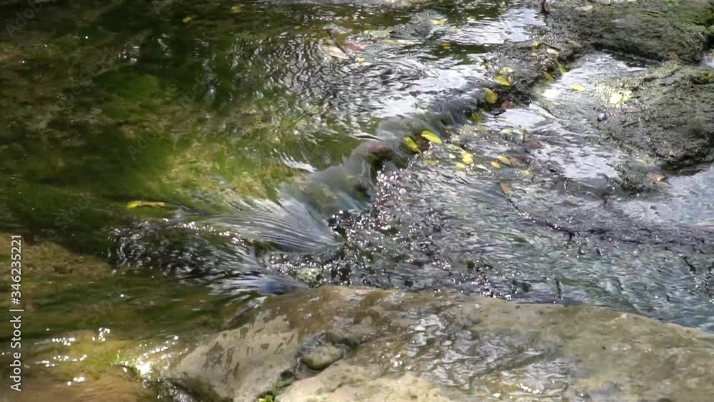 Small Flowing River Stream Slow Motion Small Flowing River Stream Slow Motion
