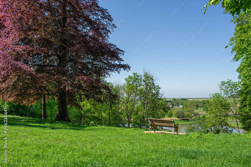 Wide views across Somerset countryside. A single bench sits at the view point with parkland and a variety of trees around it. Wide views across Somerset countryside. A single bench sits at the view point with parkland and a variety of trees around it.