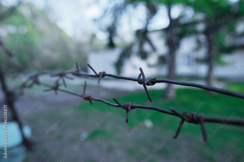 View on isolated rusty old barbed wire. View on isolated rusty old barbed wire.