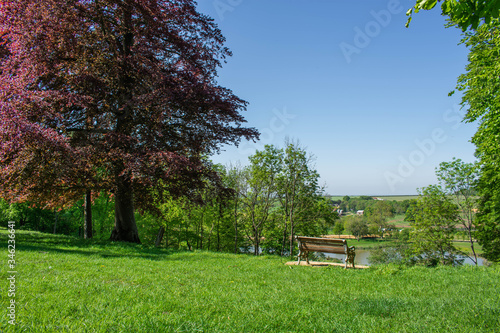 Wide views across Somerset countryside.  A single bench sits at the view point with parkland and a variety of  trees around it.