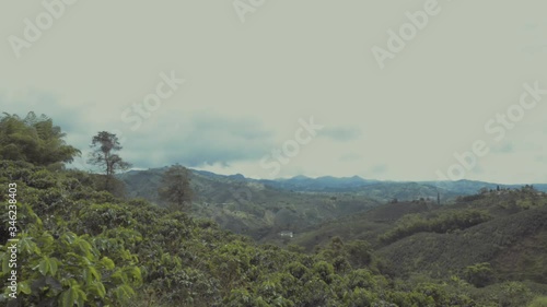 Wide and beautiful view of a productive coffee farm in Colombia. Colombian coffee farm photo