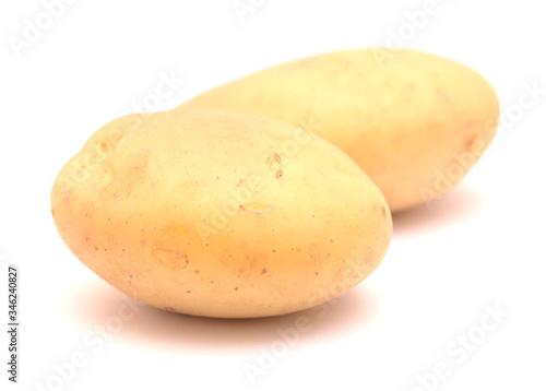 Large clean potato isolated on white 