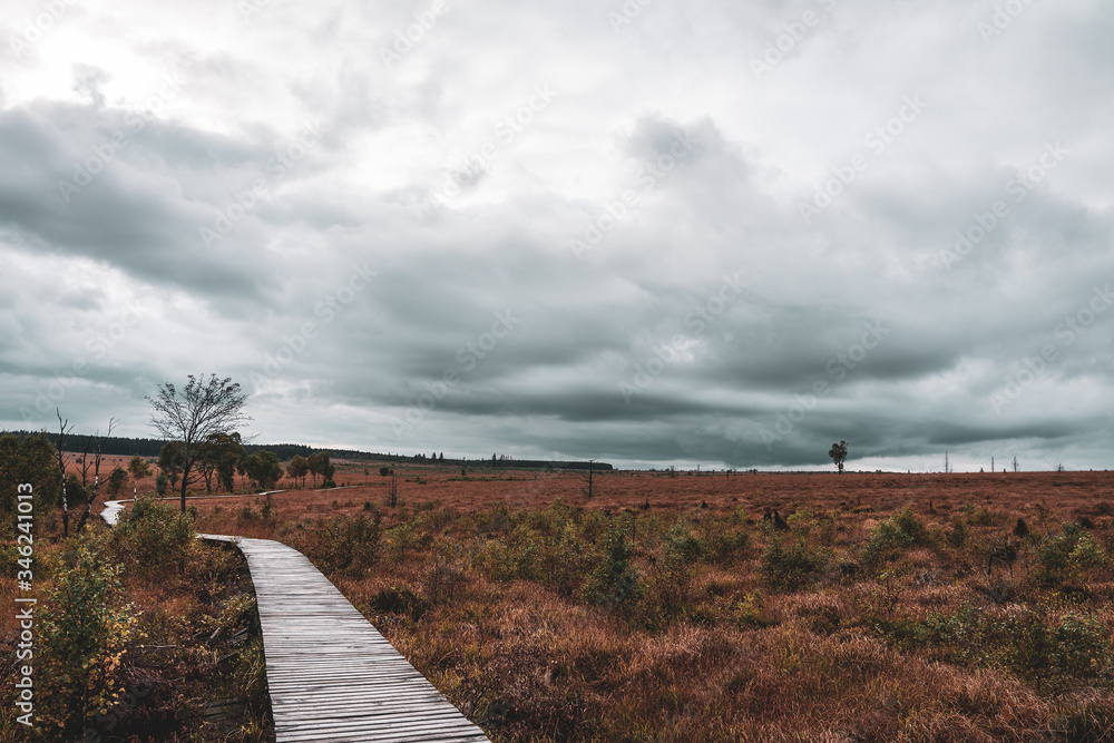 Panorama of the High Fens in autumn, Belgium.