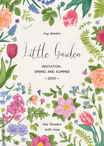 Floral background with summer and spring flowers. Botanical card. Vector illustration. Colorful.