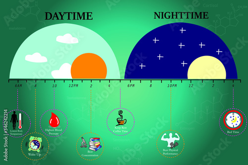 The circadian rhythms are controlled by circadian clocks or biological clock these clocks tell our brain when to sleep, tell our gut when to digest and control our activity in several day.