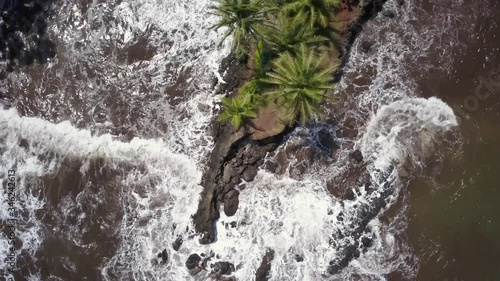 Palm trees covering a rugged natural rock formation pounded by ocean waves Onomea Bay, Aerial orbit ascend photo