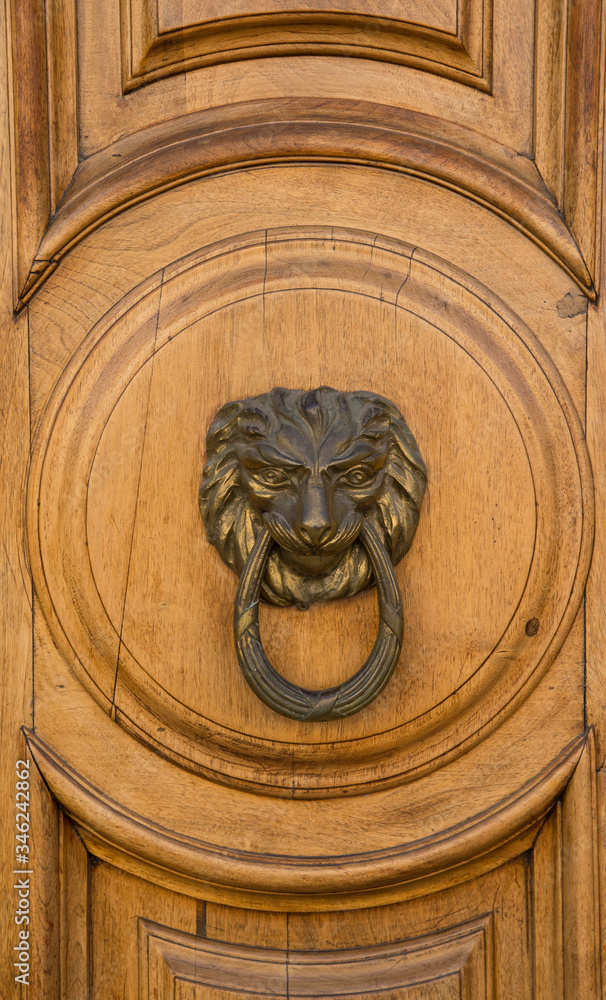 Lion shape door knocker on wooden door.