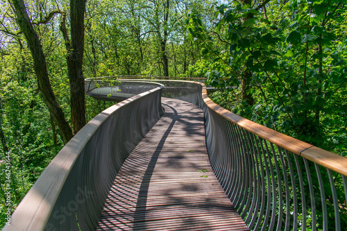 A walkway through the tree tops in an English forest on a bright sunny day.  Green forest canopy walking trail.