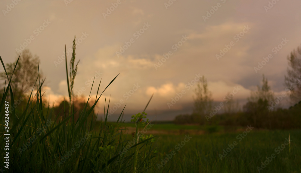Panorama of a rural evening landscape at sunset Panorama of a rural evening landscape at sunset
