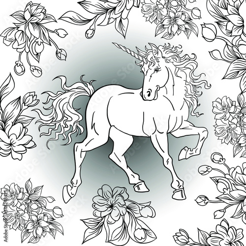 Colouring book horse and flowers on white.