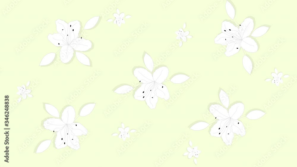 Beautiful white yellow floral background with dancing azalea flowers. Sketch animation, Soft pastel colors background. Beautiful white yellow floral background with dancing azalea flowers. Sketch animation, Soft pastel colors background.