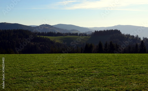 Grüner Schwarzwald bei Breitnau