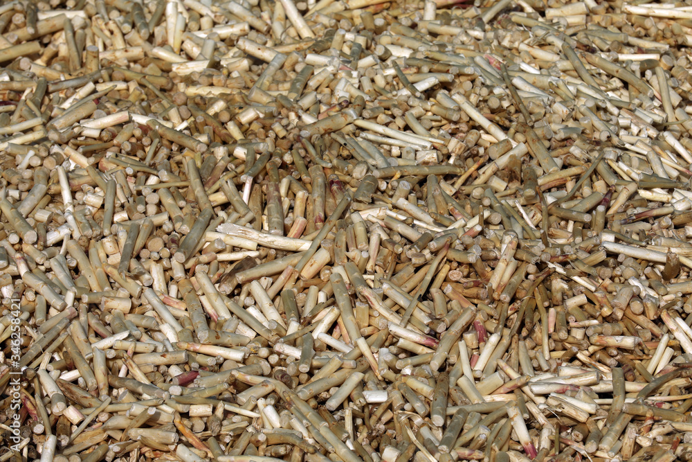 Spargel Spargelschalen Spargel Spargelschalen