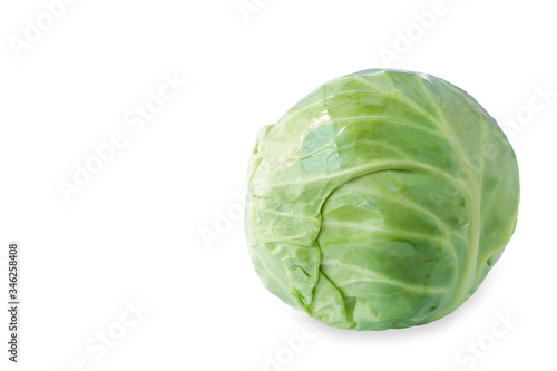 Cabbage isolated on white background. Copy space for text.